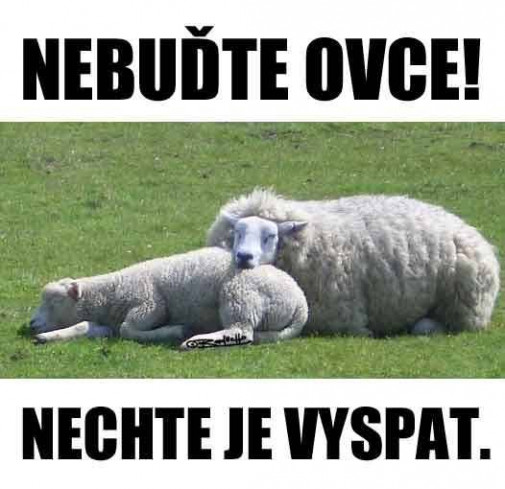 Nebudte ovce